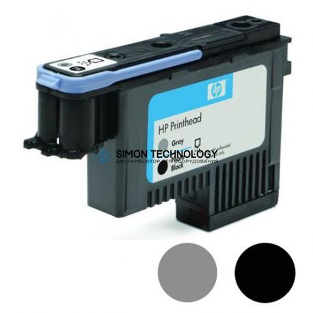 HP HPI No.72 Gray & Photo Black Printhead (C9380A)