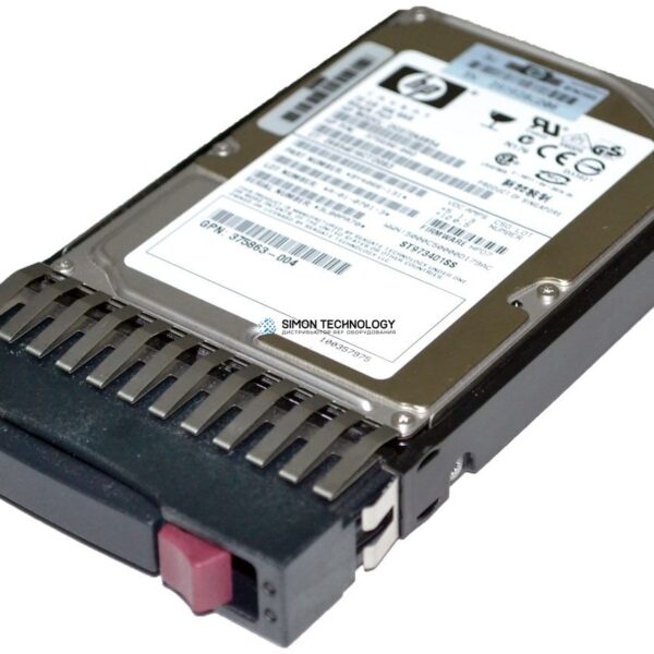 HPE HPE SPS-HDD (300GB/15K RPM) (HITX5529293-P)
